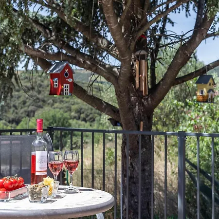 Beautiful With Private Heated Pool Villa Roquebrun